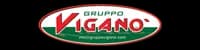 Logo Gruppo Viganò Snc